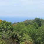 2.2 Acre Ocean View Land Parcel Escaleras