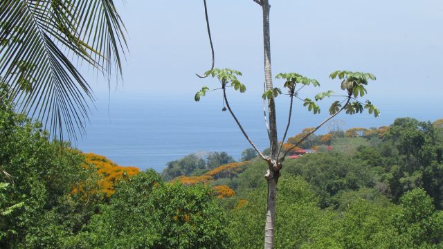2.2 Acre Ocean View Land Parcel Escaleras