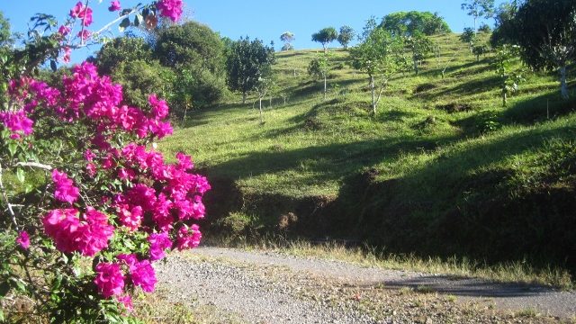 Land Close To Auberge Alta Grecia