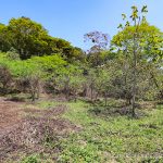 Land Parcel On The Baru River