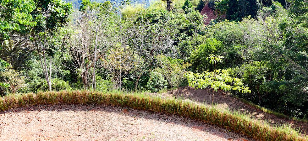 Ocean View Home Building Site Inside Of A Private Community In Platanillo