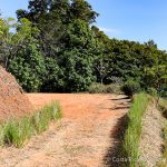 Cacao Ridge Home Site In Platanillo