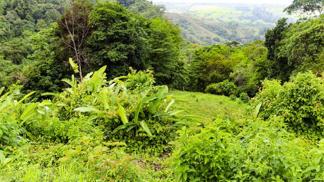 12.5 Acre Property Above Playa Hermosa