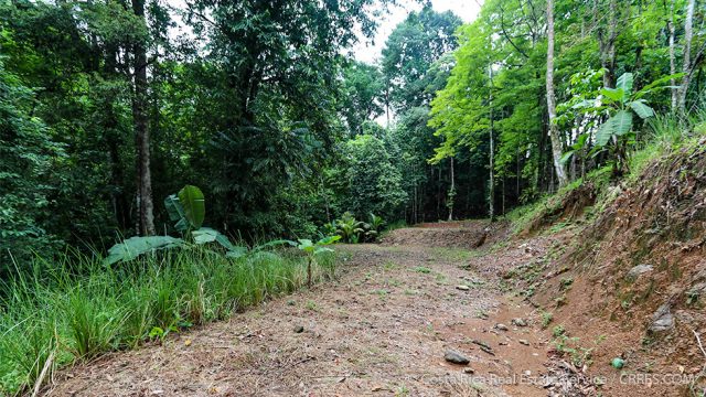 2.5 acre property near Playa Hermosa Uvita