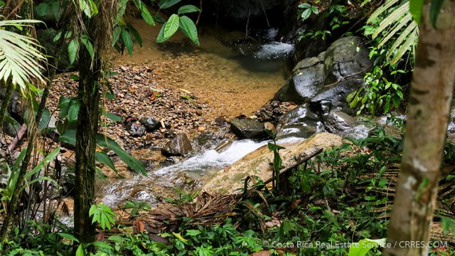 2.5 acre property near Playa Hermosa Uvita