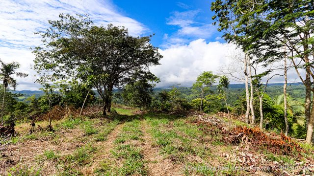 Easy Access to San Isidro