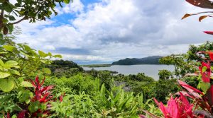 Unique Property Overlooking Pristine Golfito Bay and Golfo Dulce