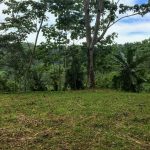 Home Site Near Dominical Ready for Development