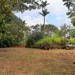 Development Property