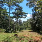 Land with Multiple Home Sites in Costa Rica