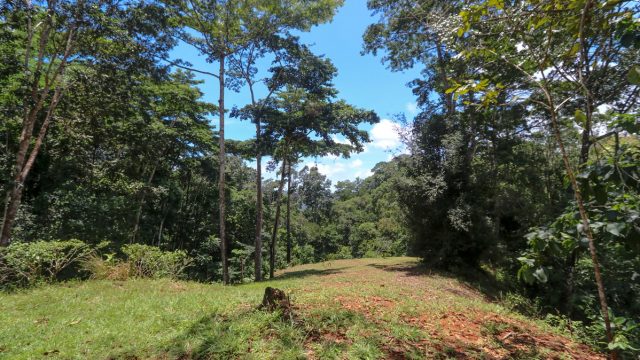 Land with Multiple Home Sites in Costa Rica