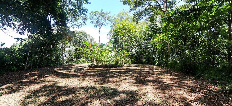 Lipstick Palm Home Site with Exquisite Rainforest and Ocean View