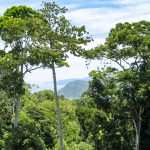 Private Rainforest Zones