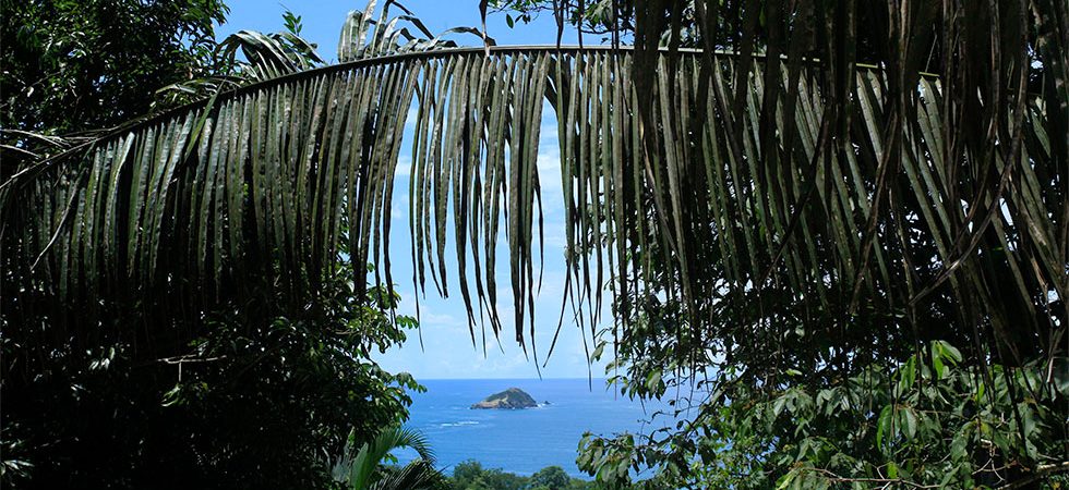 Tropical Home in the Jungle with Ocean View in Manuel Antonio