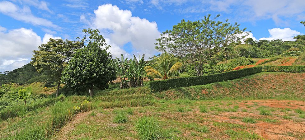  Cacao Ridge 2.5 To 45 Acre Land Parcels with Ocean And Valley Views