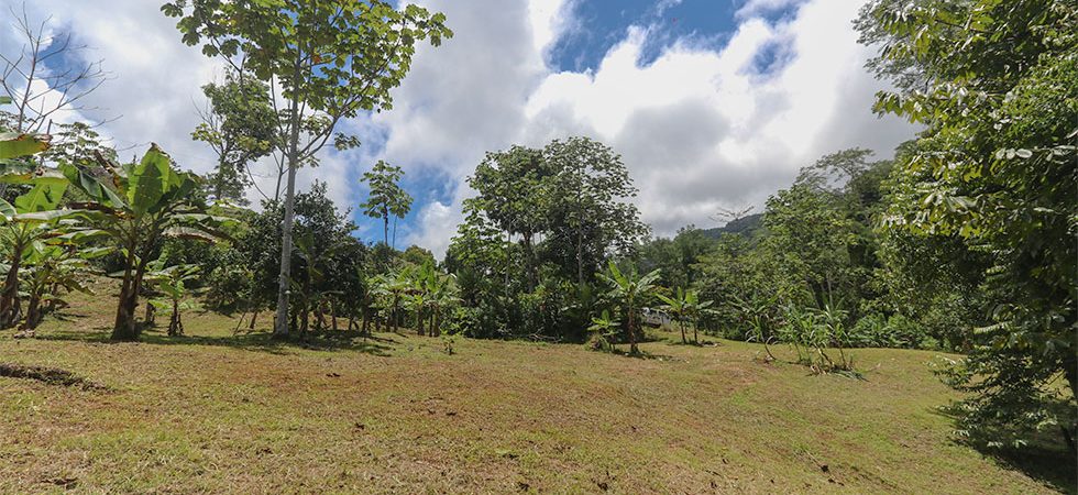 Riverfront Property in the San Josecito Mountain with Multiple Natural Pools
