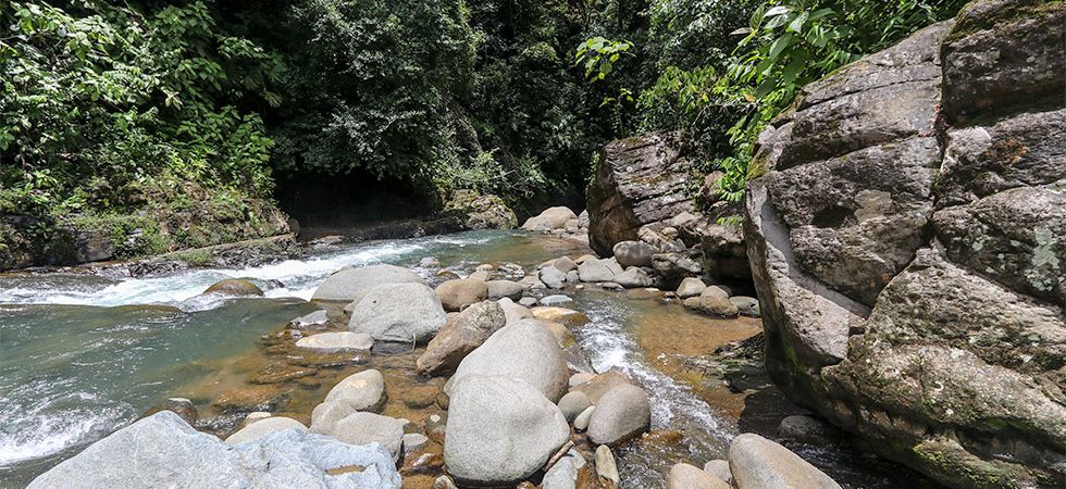 Riverfront Property in the San Josecito Mountain with Multiple Natural Pools