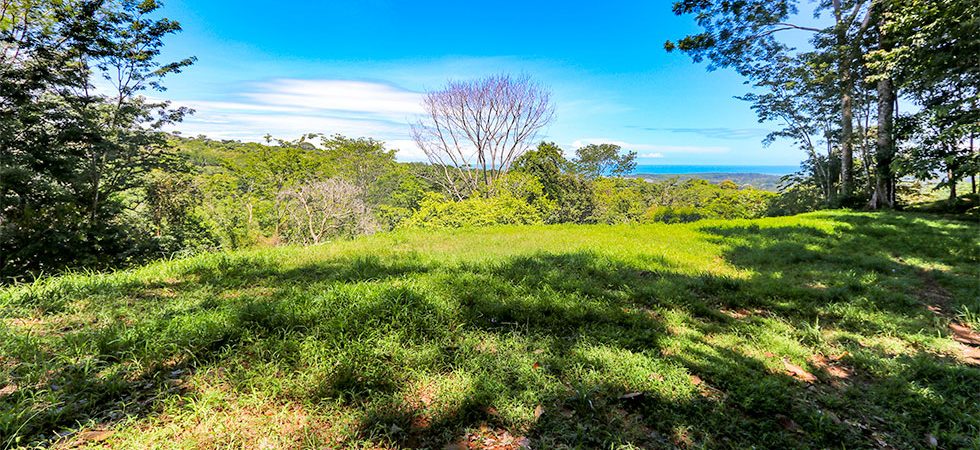 1.5 Acre Lot in Uvita with Whitewater and Whale Tail View