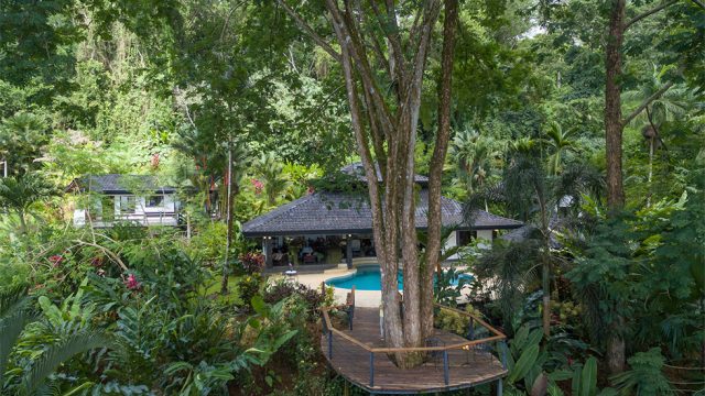Home in Uvita with 1-Acre Rainforest Setting
