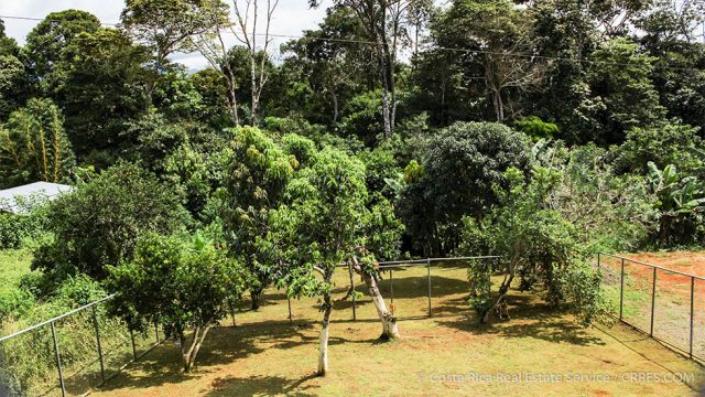 Organic Fruit Orchard