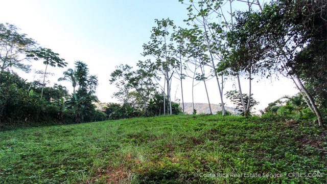 Flat Homesite