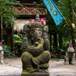 Yoga Wellness Spa and Nature Retreat Near Dominical