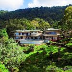 Luxury Estate with 72-Acres of Rainforest