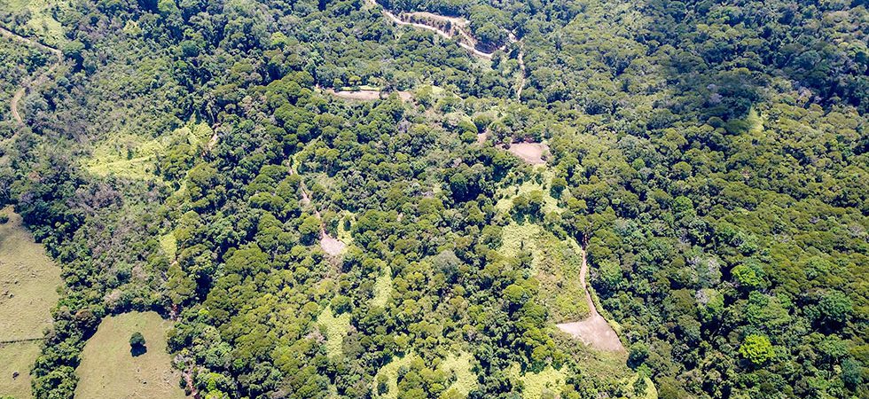 81 Acres with Segregated Land Parcels and Waterfall Views in Escaleras