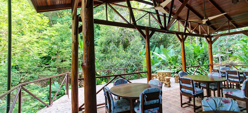 Ocean View Rainforest Retreat with Fresh Water Springs