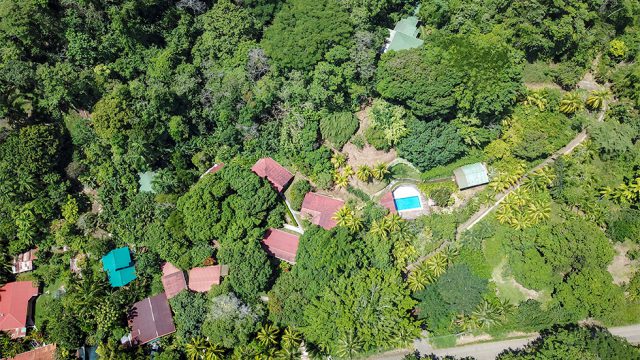 Rainforest Retreat in Hatillo