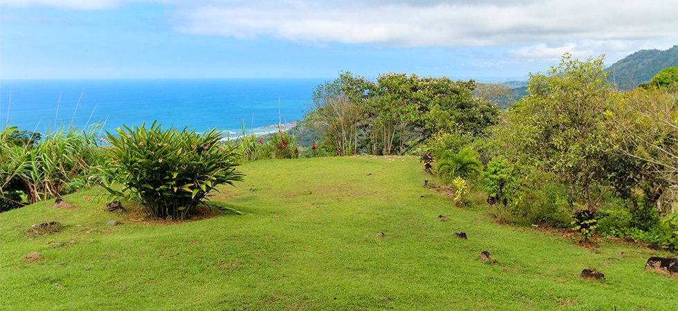 Prime Land with Epic Whitewater Ocean Views in Escaleras Dominical