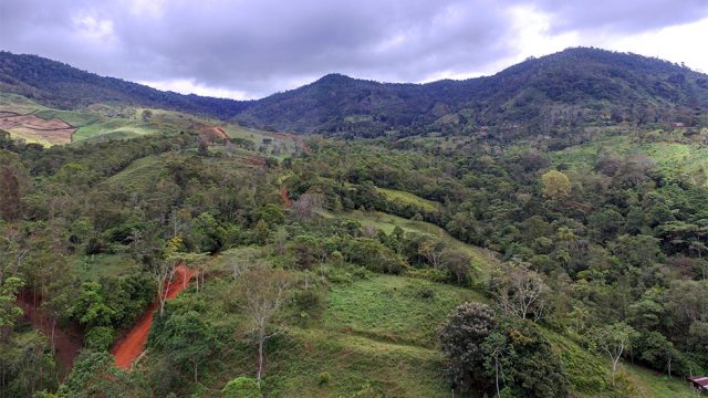 55-Acres Quebradas near San Isidro