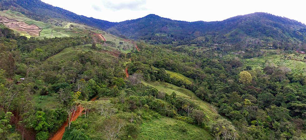 Great Deal for a Large Land Parcel in Quebradas Area of San Isidro