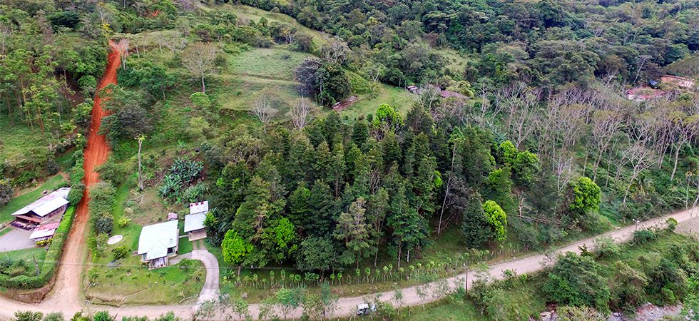 Great Deal for a Large Land Parcel in Quebradas Area of San Isidro