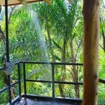 Open Rainforest Shower