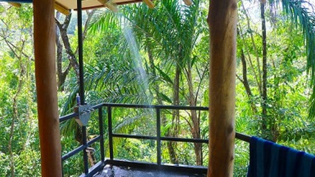 Open Rainforest Shower