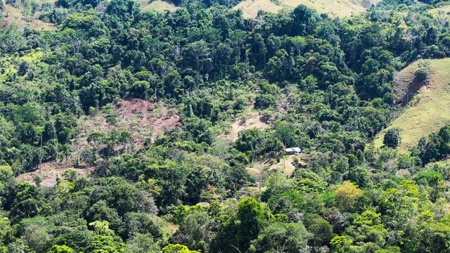 Large 49.42 Land Parcel near Nauyaca Waterfall