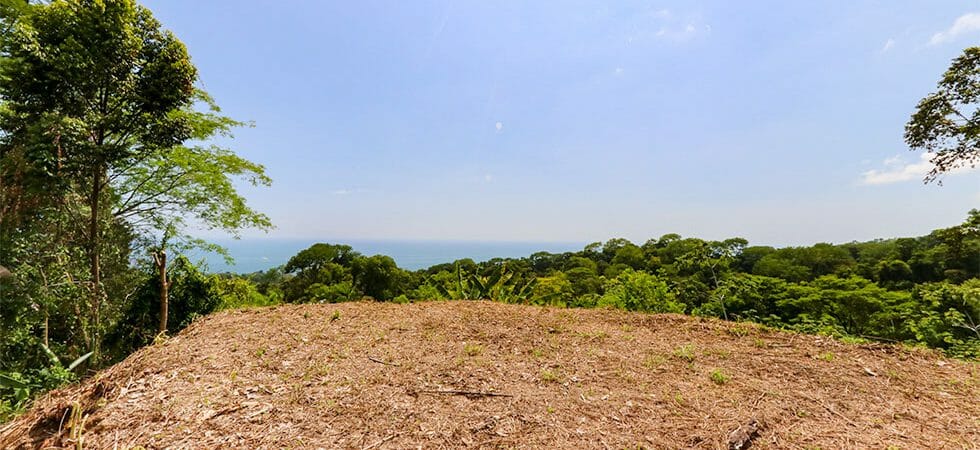 Land with Ocean View and Rainforest Zones in Brisas del Mar