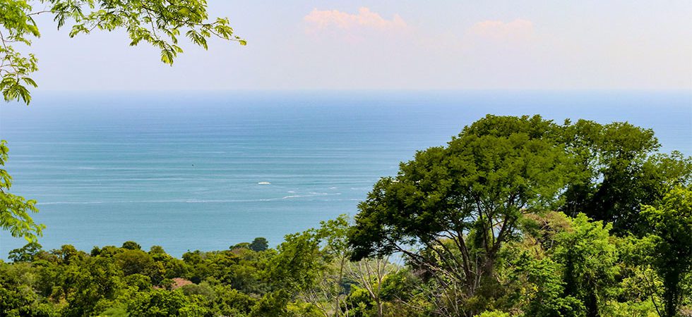 Land with Ocean View and Rainforest Zones in Brisas del Mar