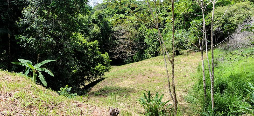 Unique Land Parcel Close to the Beach with River and Waterfalls