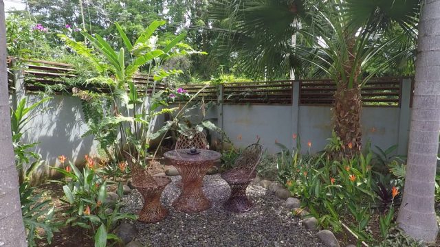 Tropical Oasis Garden Area