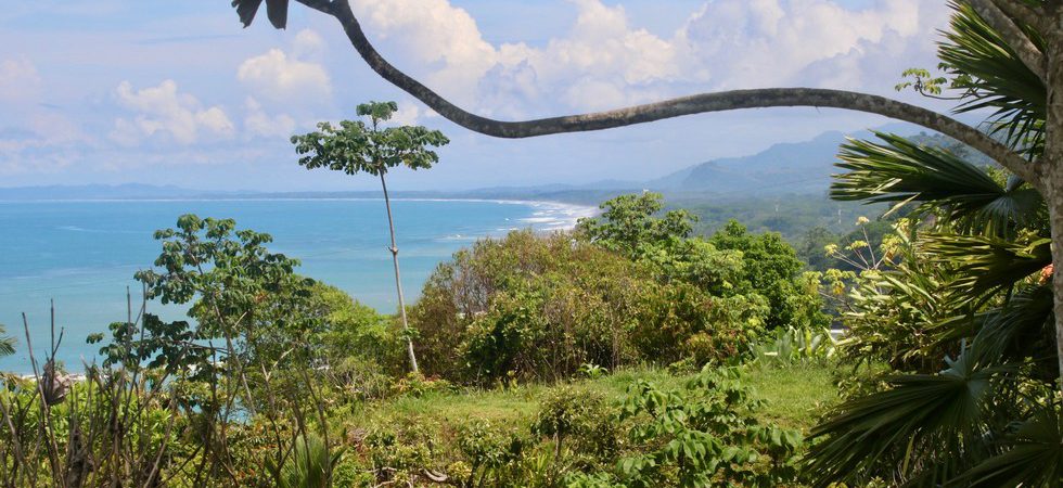 Panoramic Ocean View Lot in Secure Community Near Dominical