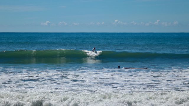 Surfers Dream Land