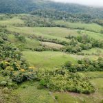 Fertile Soil for Agriculture