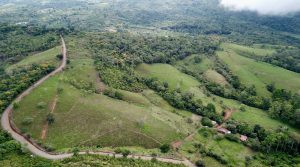 180 Acre Cattle Ranch in Portrero Grande South of San Isidro