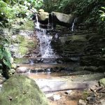 Creek with Waterfall