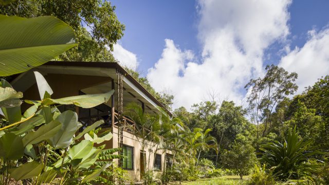 The Howler House in Uvita