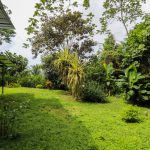 Lush Garden Areas