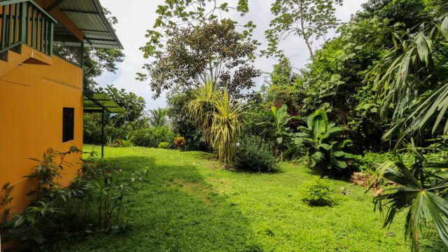 Lush Garden Areas