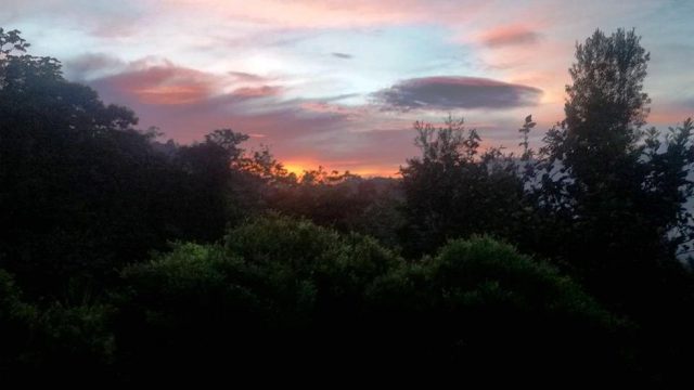 Majestic Sunsets